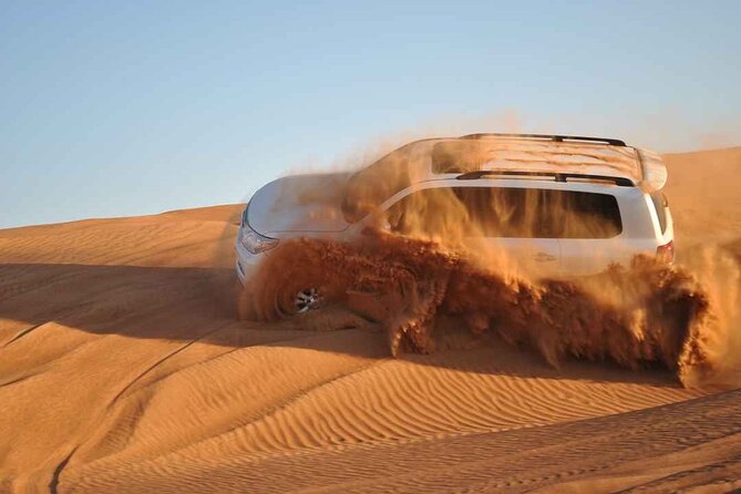 Premium Desert Safari with Dinner, Dunes and Ten Shows (VIP) - Service, Drivers, and Group Size