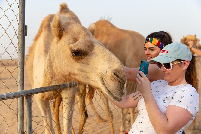 Premium Dubai Desert Safari with BBQ Dinner in the Red Dunes - Sunset at the desert camp