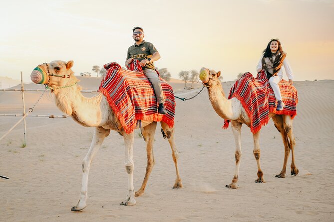 Premium Dubai Desert Safari with Dune Bashing, BBQ, Live Shows - From Dubai roads to the Red Dunes