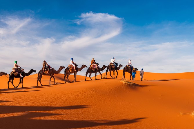 Private Abu Dhabi Evening Desert Safari (Exclusive) - Is $194.90 per person good value?