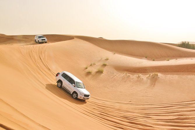 Private Abu Dhabi Evening Desert Safari (Exclusive) - Who will enjoy this Abu Dhabi desert evening?