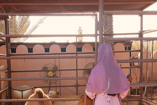 Private Abu Dhabi Half Day City Tour - What the guide adds to the experience