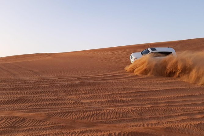 Private Desert Safari Red Dune with BBQ, Sand Boarding and Camel Ride - Who will enjoy this safari most