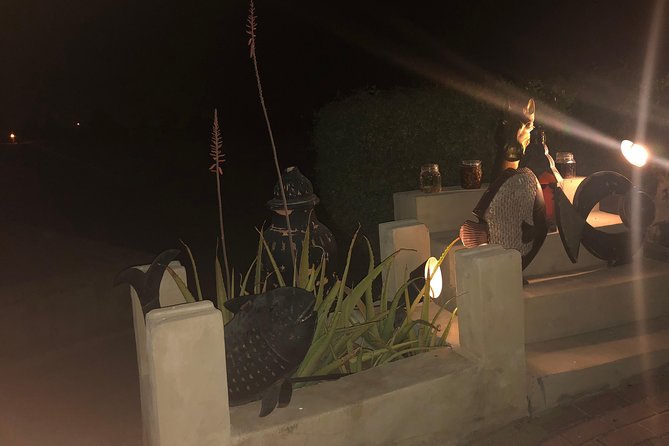 Private Desert Safari with Premium camp - What the $149.99 price really buys