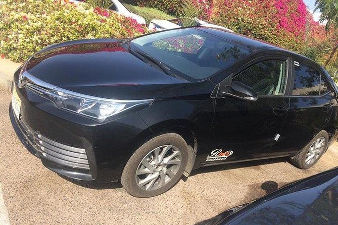 Private Dubai Airport Transfer DXB to Dubai City - Booking and cancellation details