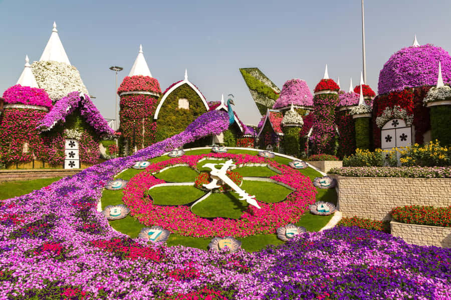 Private Dubai Frame & Miracle Garden Trip with Transfer - Why this pairing works in one Dubai outing