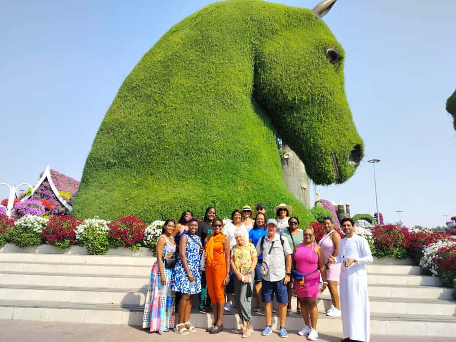 Private Dubai Frame & Miracle Garden Trip with Transfer - What the private format changes