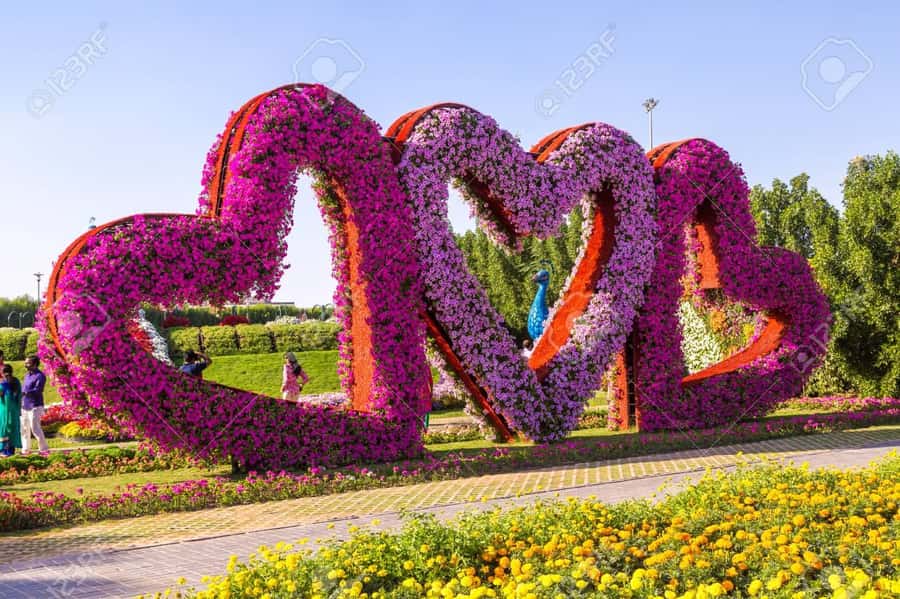 Private Dubai Frame & Miracle Garden Trip with Transfer - Who will get the most from this outing?