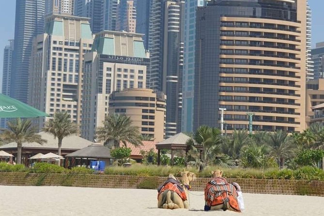 Private : Dubai Full Day City Sightseeing Tour - Palm Jumeirah and Atlantis, The Palm