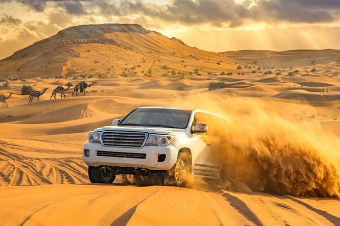 Private Evening Desert Safari with BBQ Dinner Dubai - Who will enjoy this six-hour outing
