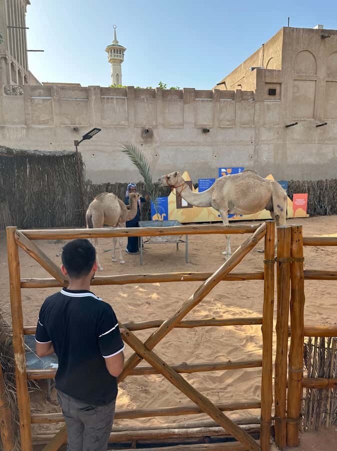 Private Food Tour – 12 Tastings with Locals - At a glance: what makes this Dubai food walk worthwhile