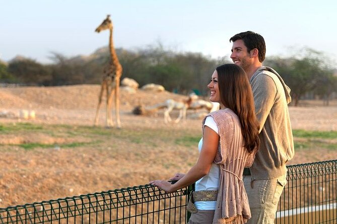 Private Garden City Tour with Zoo Ticket at Al Ain - Who should choose this private Al Ain tour