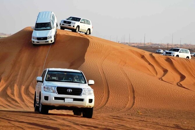 Private Premium Desert Safari 4x4 Vehicle with BBQ Dinner - DUBAI - Dune bashing and the best sunset photographs