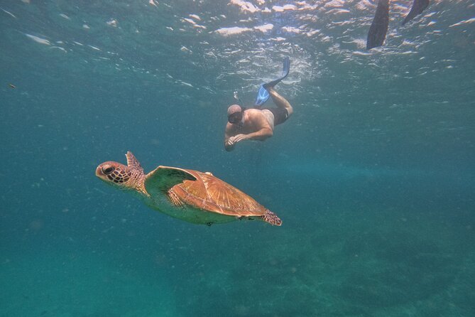 Private Snorkeling with turtles with BBQ food - Getting ready with equipment and a guide