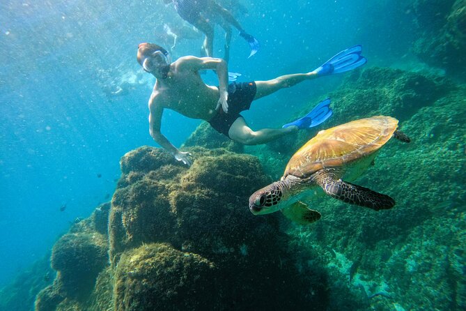 Private Snorkeling with turtles with BBQ food - What the water time may feel like for beginners