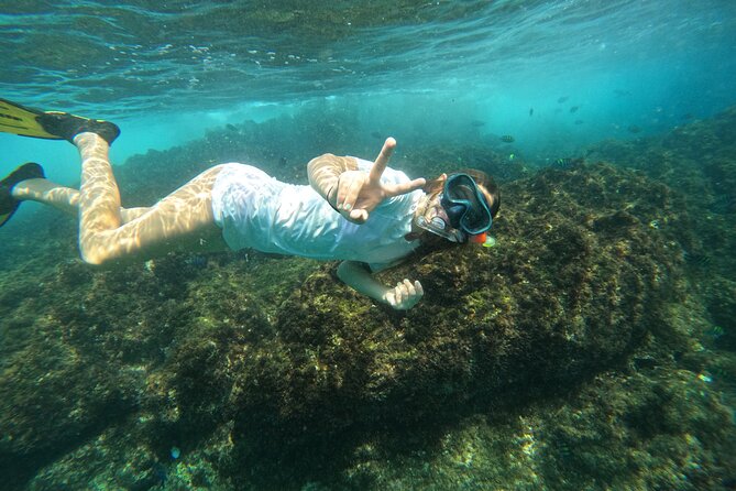 Private Snorkeling with turtles with BBQ food - Who will get the most from this Fujairah outing