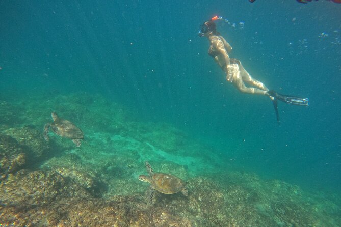 Private Snorkeling with turtles with BBQ food - Booking details worth knowing before you go