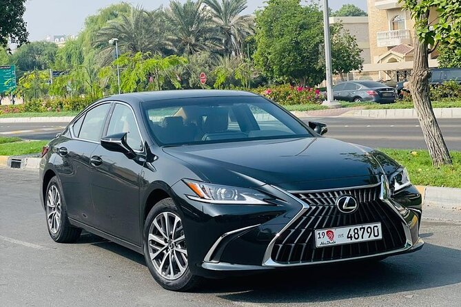 Private Transfer - Airport | Hotels | Port | City - Abu Dhabi - A practical way to begin or end Abu Dhabi