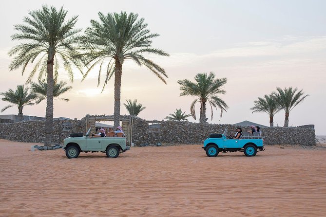 Private Vintage Land Rover Heritage Desert Safari- 4 Course Dinner & Activities - Who will enjoy this desert safari most