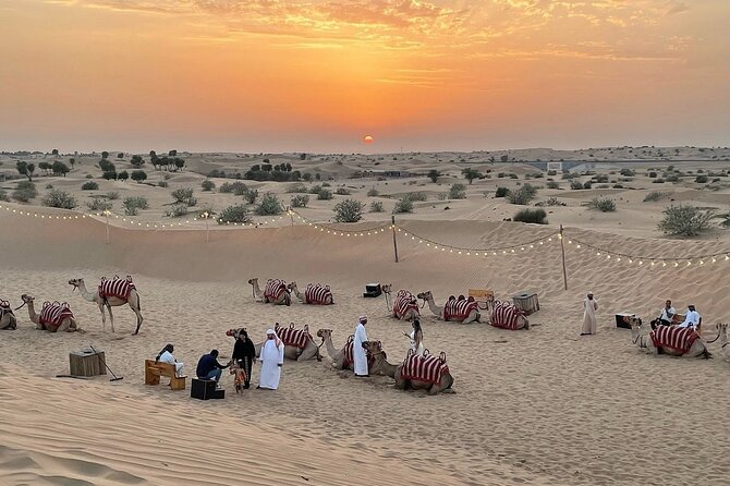 Quad Bike Dubai Private Tour - Price, duration, and real value