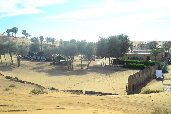 Ras Al Khaimah: Afternoon Desert Safari and BBQ Dinner - The 4WD dune drive and sunset stop