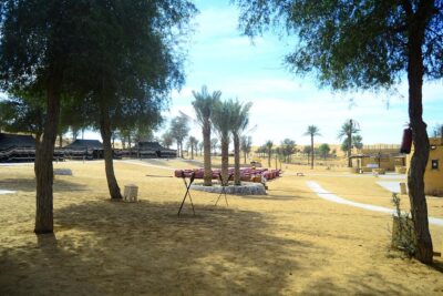 Afternoon Desert Safari and BBQ Dinner