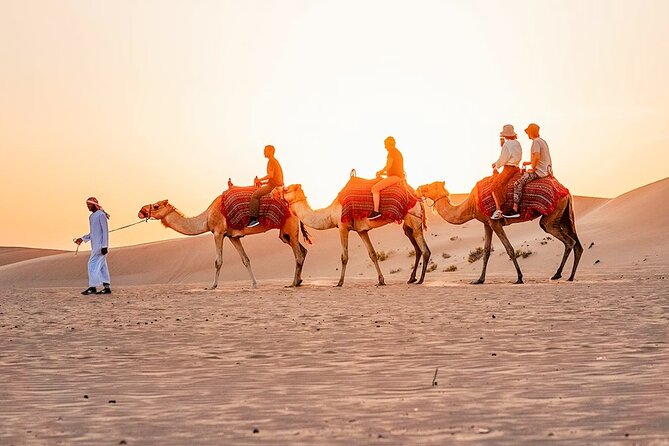 Red Desert Safari With Camel Ride & Sand Skiing - From Dubai towers to the red dunes
