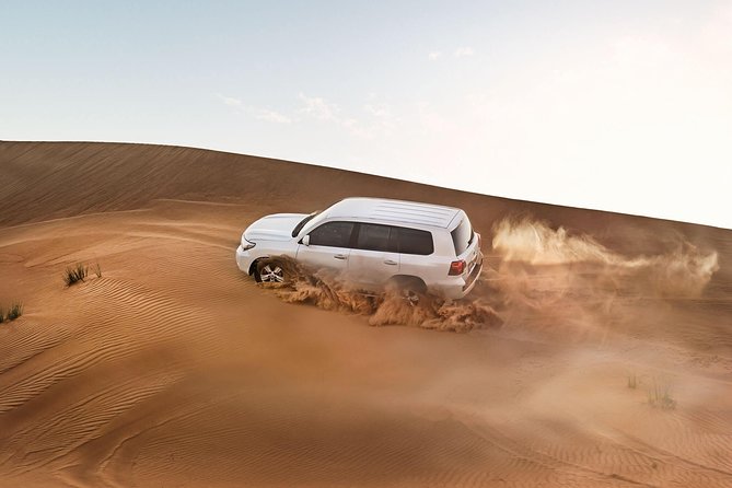 Red Dune Desert Safari with BBQ Dinner, Sand Boarding Dance Shows - Red dunes first, camp dinner later