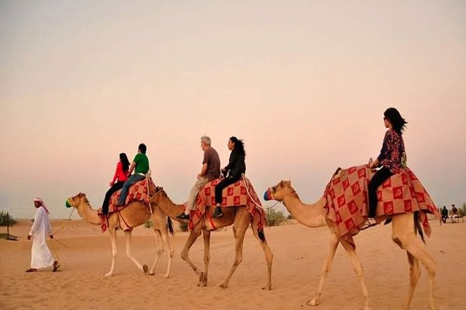 Red Dunes Safari with BBQ dinner, Falcon and Camel Ride - Why the red dunes are the highlight