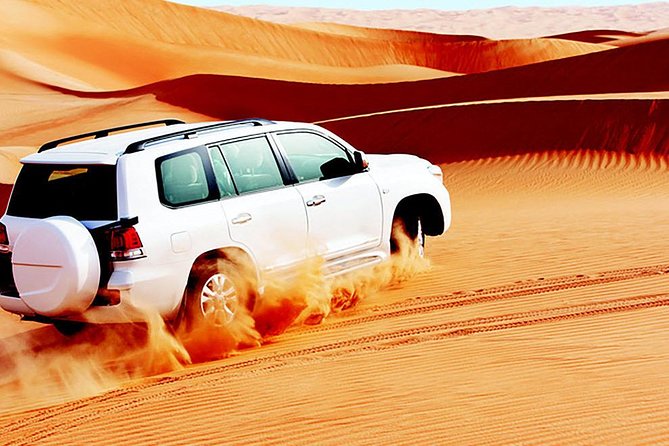 Red Dunes Safari with BBQ dinner, Falcon and Camel Ride - From sunset photos to the Bedouin-style camp