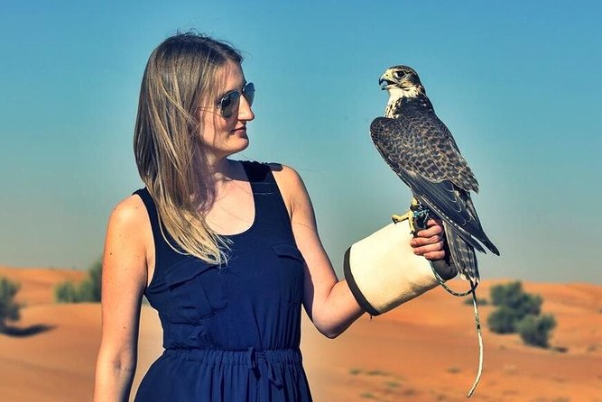 Red Dunes Safari with BBQ dinner, Falcon and Camel Ride - Who should book this safari?