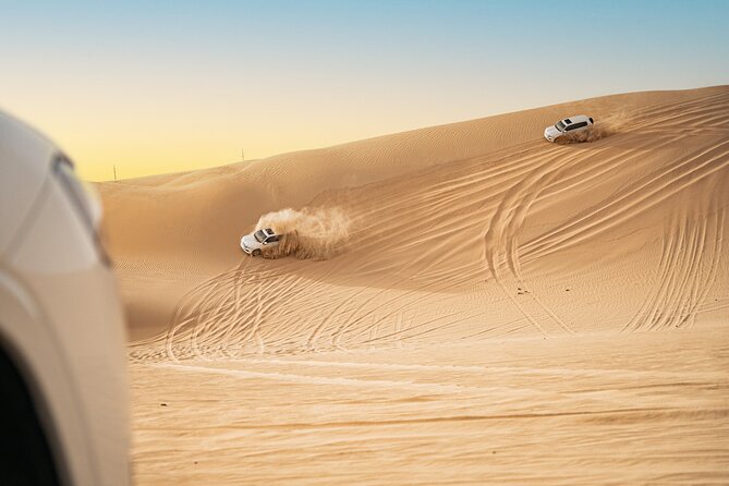 Romantic Private Dune Dinner Abu Dhabi - Camel encounters before the main ride