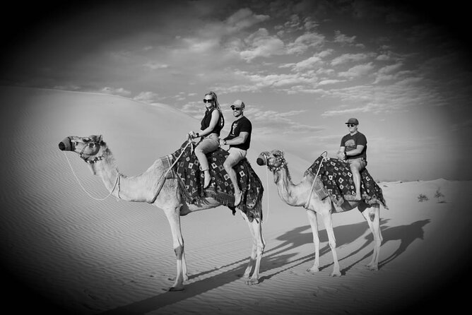 Safari Half-Day Adventure from Abu Dhabi - What the dune drive feels like