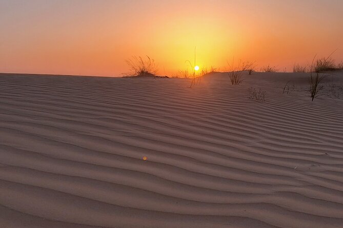 Shared Desert Safari Tour Dubai with Dinner Included - Arriving at the Lahbab Bedouin-style camp