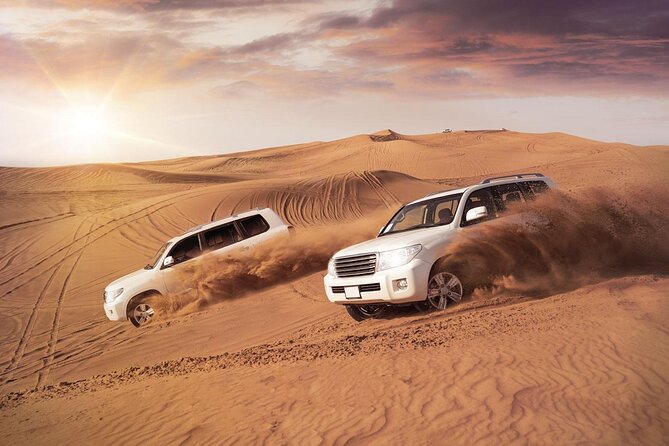 Shared Desert Safari Tour Dubai with Dinner Included - Who will enjoy this Dubai desert safari?
