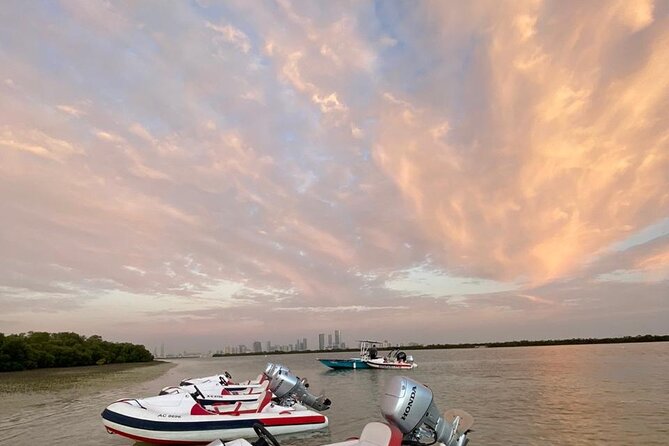 Small-Group Self-Drive Speedboat Tour in Yas Island Mangroves - Peninsula Gold Beach and Heritage Island