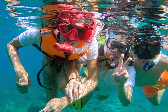Snorkeling with turtles in Fujairah with BBQ lunch - Snoopy Island: your first 90 minutes in the water