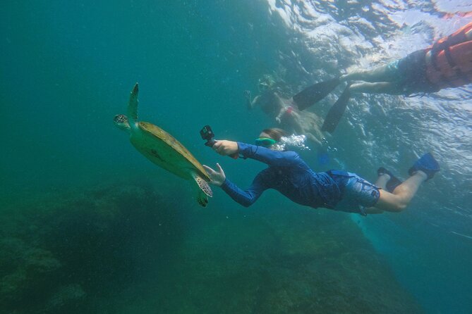 Snorkeling with turtles in Fujairah with BBQ lunch - What the boat adds, and where it may disappoint