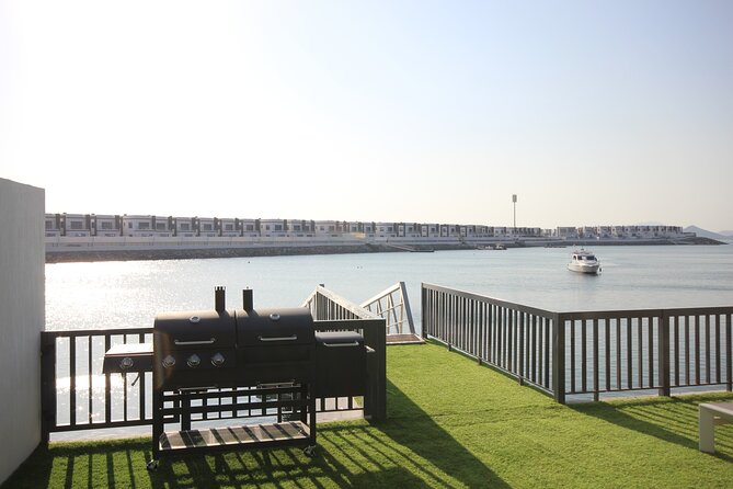 Snorkeling with turtles in Fujairah with BBQ lunch - The guide can change the whole experience