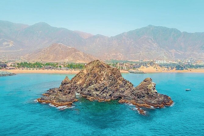 Snorkeling with turtles in Fujairah with BBQ lunch - BBQ lunch at Reef Oasis