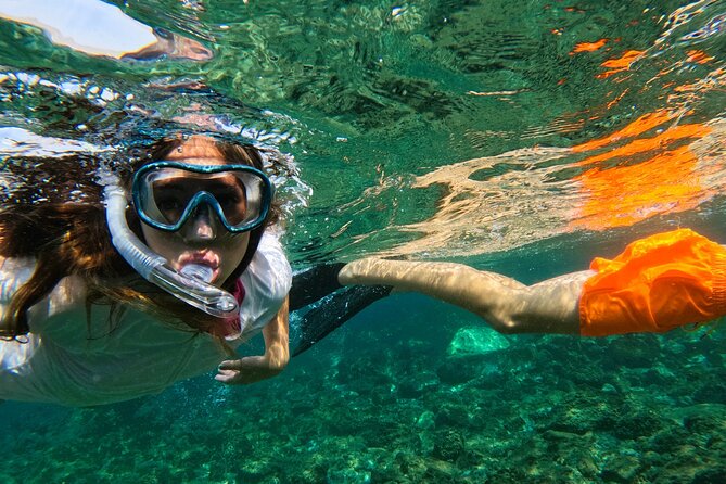 Snorkeling with turtles in Fujairah with BBQ lunch - Who will enjoy this most