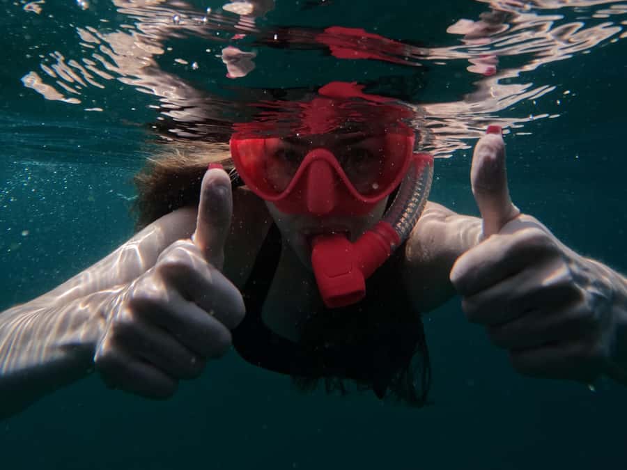 Snorkeling with turtles in Fujairah with BBQ lunch - Booking, cancellations, and practical preparation