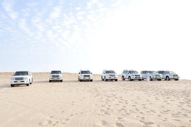 Sunrise Desert Safari from Abu Dhabi - What the 4x4 dune drive is really like