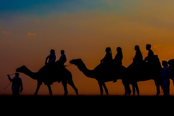 Sunset Camel Trekking with Falcon Show & VIP BBQ Dinner - Arabic coffee, sweets, and dates mark the sunset pause