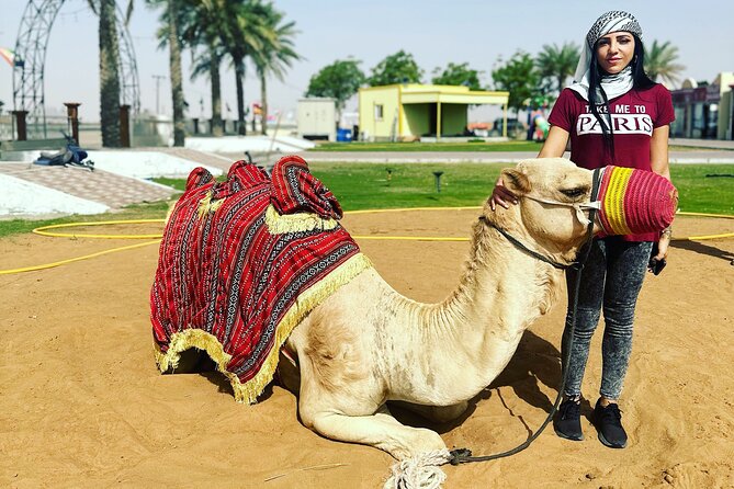 Sunset Desert safari with Camel Ride Sand Board & BBQ Dinner - A sunset camel ride made for pictures