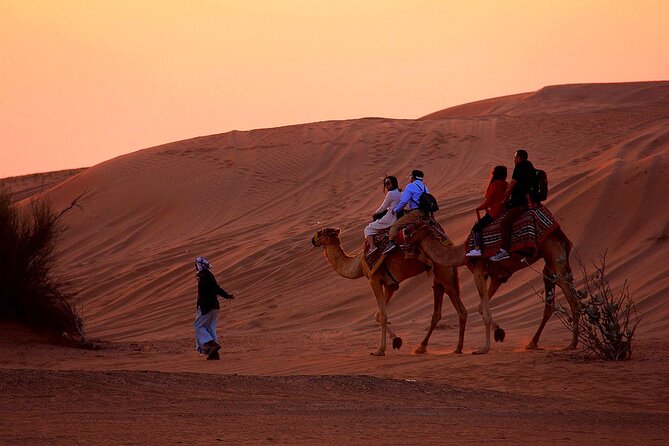 Sunset Evening Safari,Camel ride,live shows and BBQ Dinner with No Hidden Charge - Sandboarding and sunset photos add useful variety