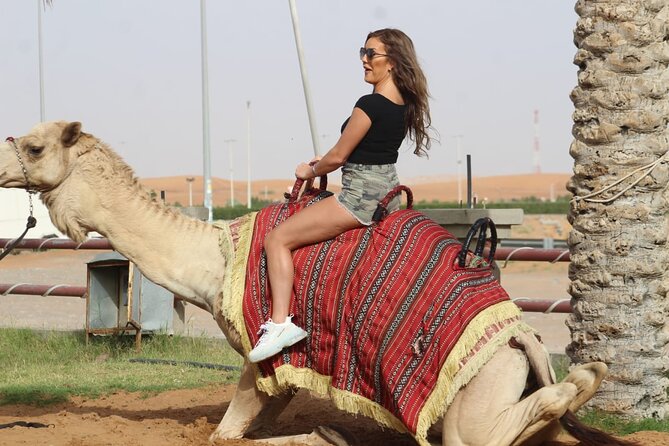 Sunset Quad/Buggy Tour & BBQ Evening - Is $97.68 a fair price?