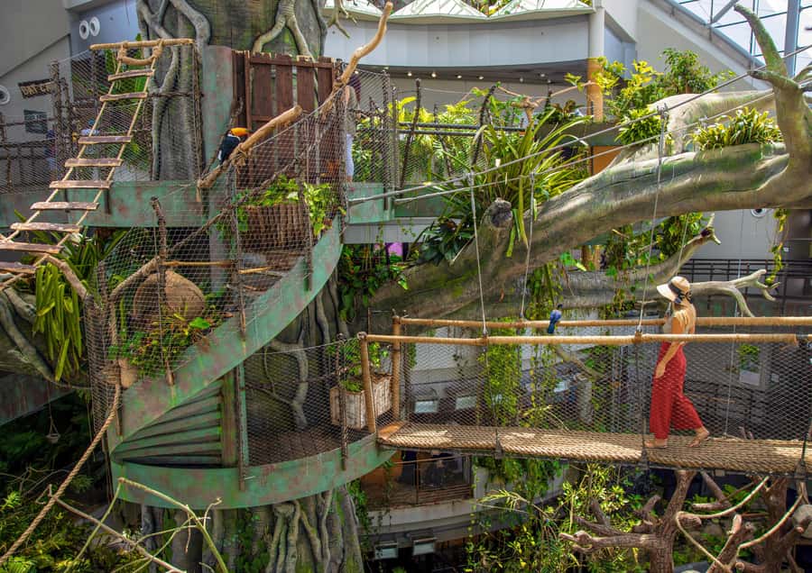 The Green Planet - Dubai's Unique Indoor Rainforest - Birds, sloths, and squirrel monkeys at close range