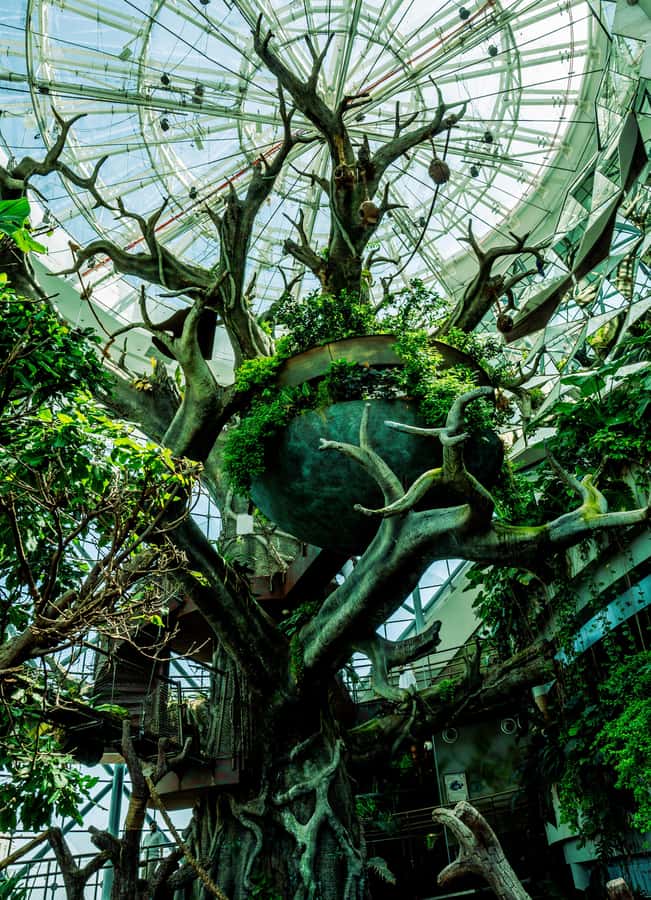 The Green Planet - Dubai's Unique Indoor Rainforest - The indoor thunderstorm