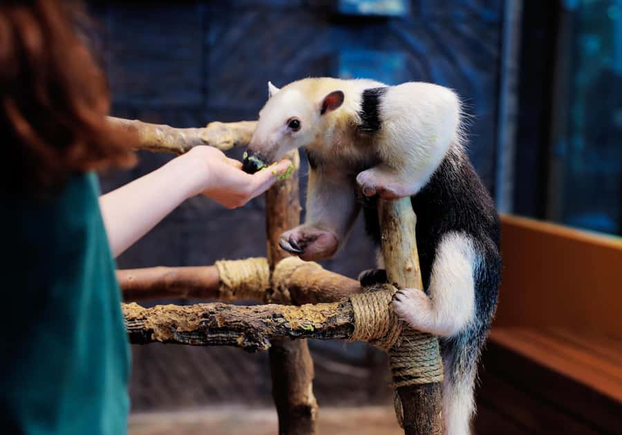 The Green Planet - Dubai's Unique Indoor Rainforest - How long should you stay?